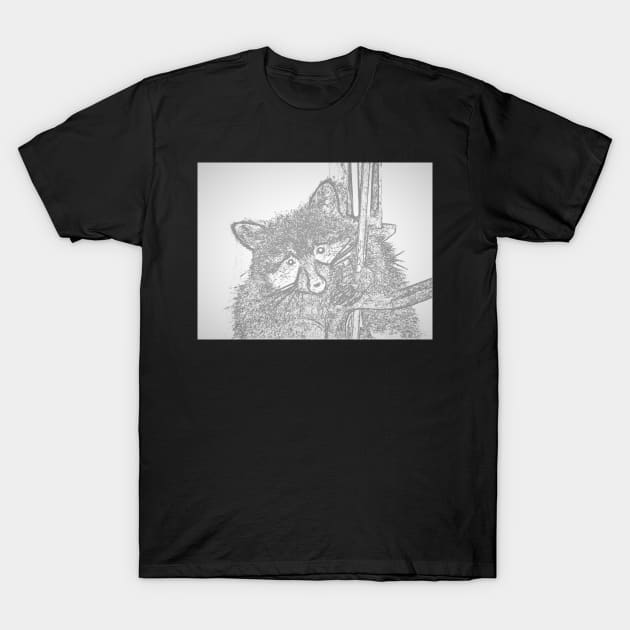 Racoon hugs T-Shirt by rconyard